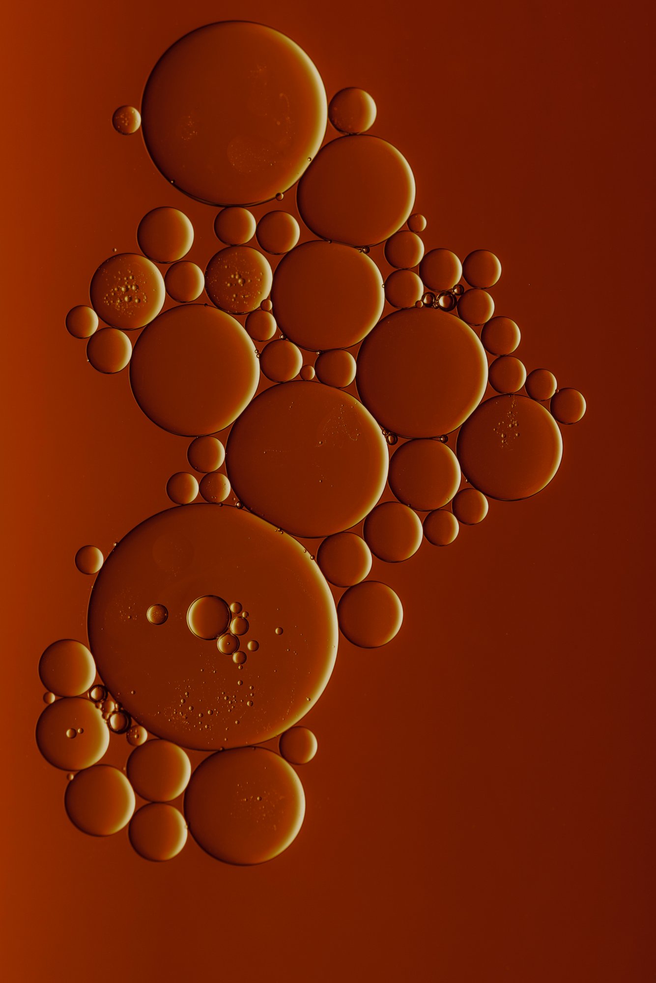 Ultimate Longevity Center Protocols
